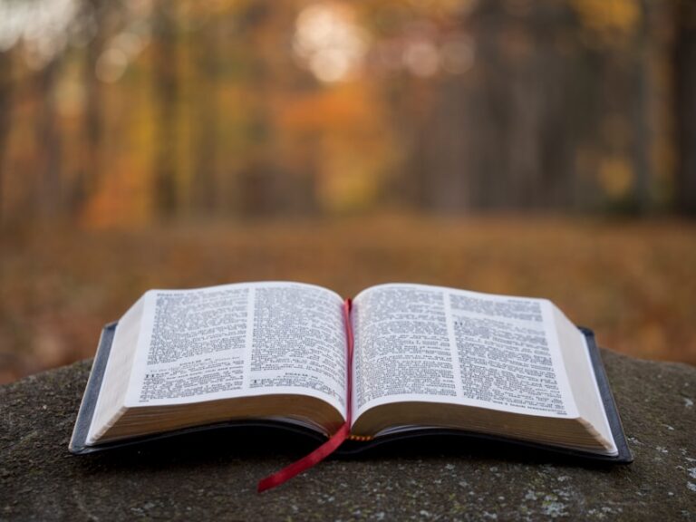 scripture