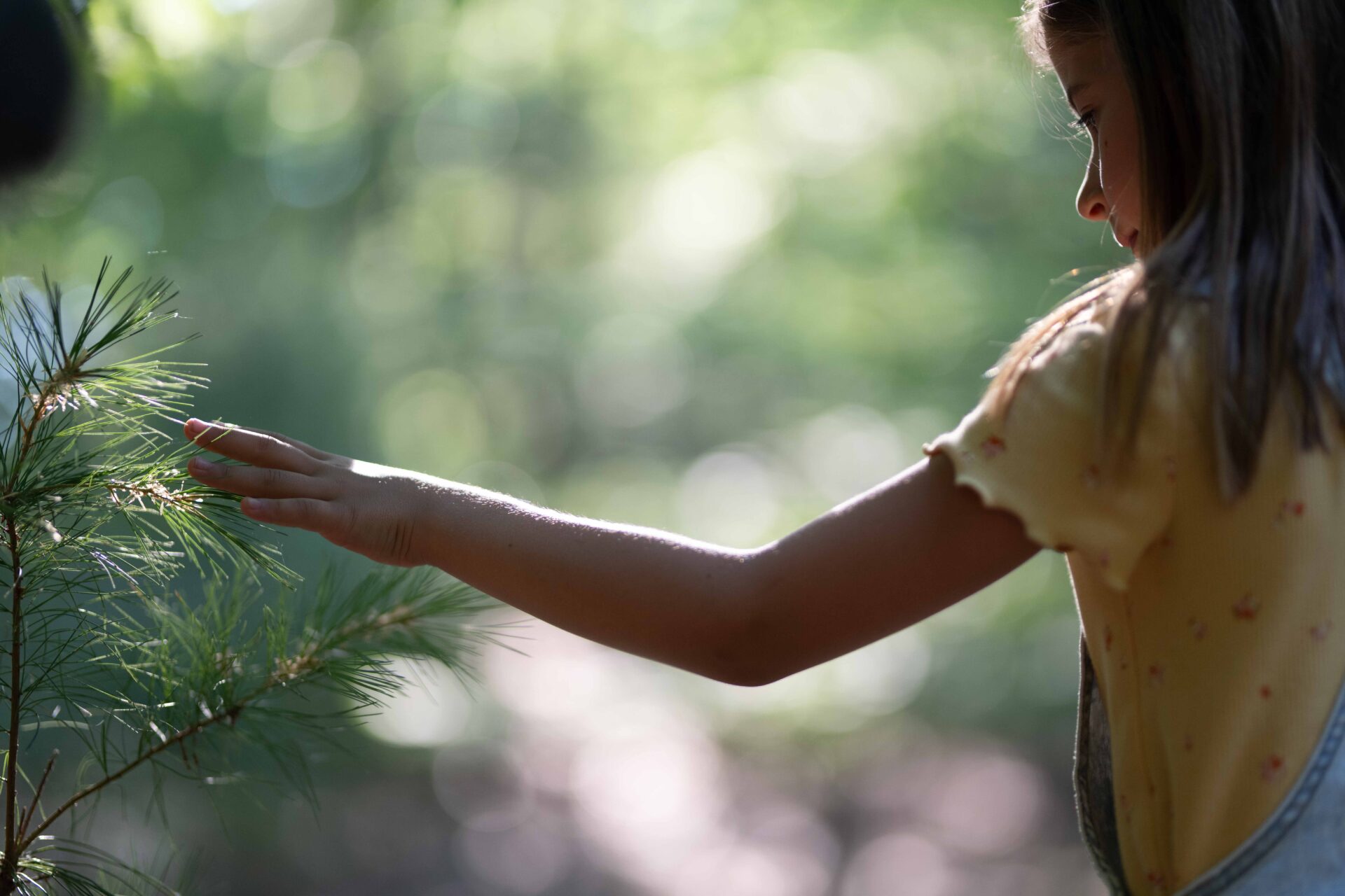 ecotherapy