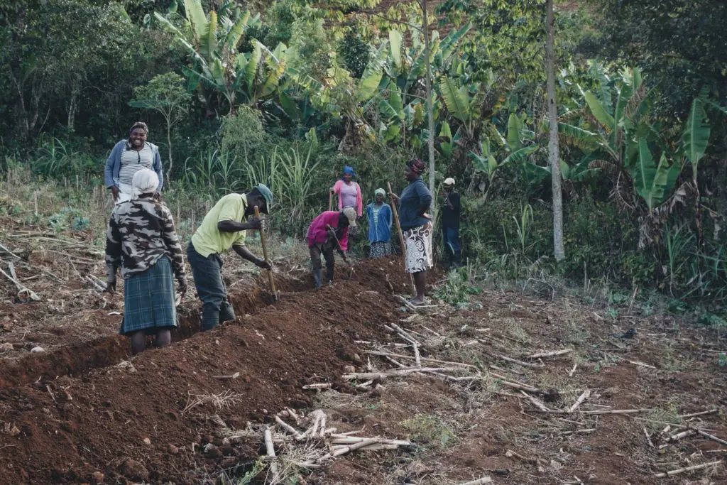 Farms need people. People need farms. Tend helps people reconnect with the living world growing around them