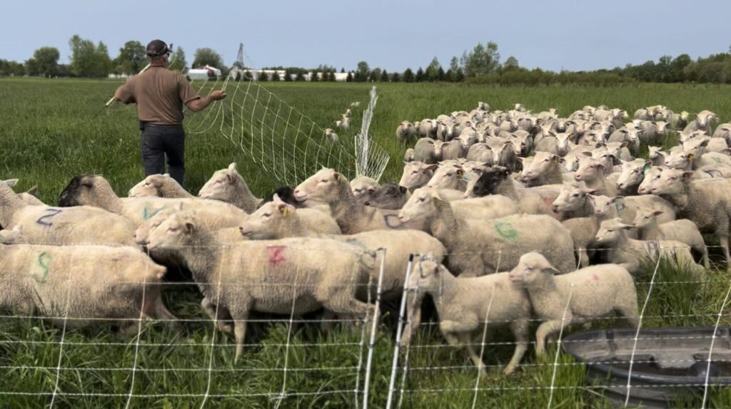 Farms need people. People need farms