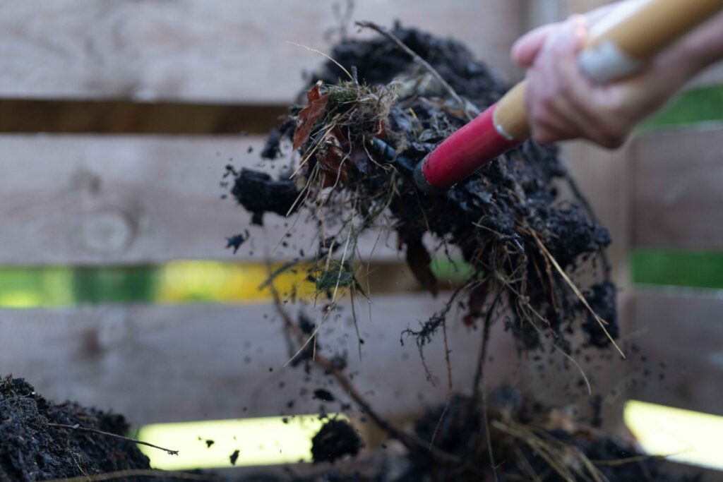 compost challenge